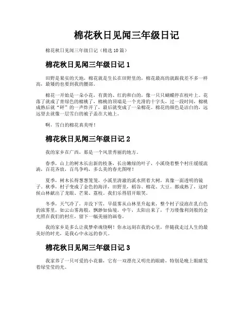 棉花秋日见闻三年级日记
