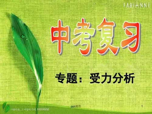 初中物理专项复习受力分析经典例题  ppt课件