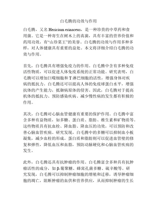 白毛腾的功效与作用