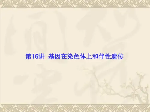 【高考调研】2016高考生物(新课标)大一轮复习配套课件 第五单元 遗传的基本规律16