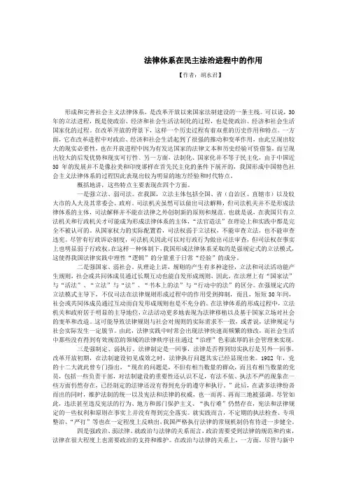 法律体系在民主法治进程中的作用