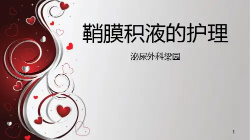 鞘膜积液的护理 PPT课件