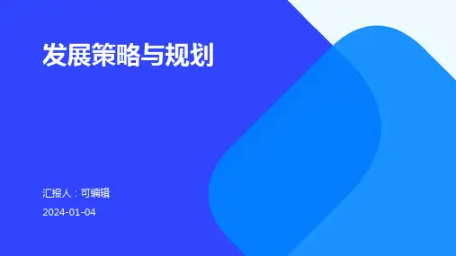 发展策略与规划