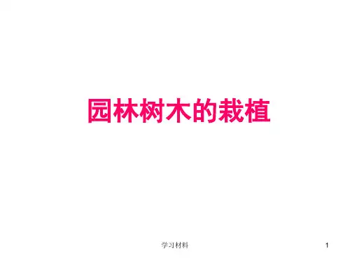 园林树木的栽植