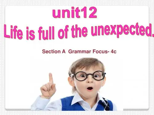 人教新目标版精品系列九年级英语Unit12第3课时(sectionA Grammar focus-4c)课件 (共51张)