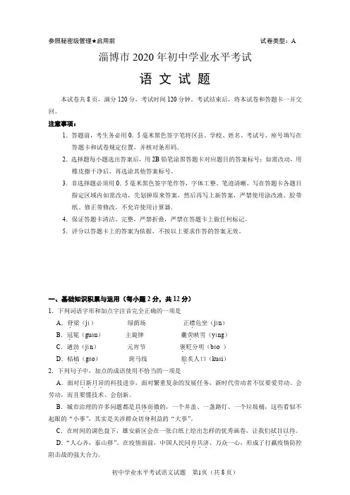 山东省淄博市2020年初中学业水平考试语文试卷(解析版)