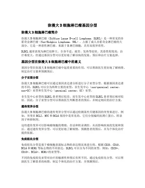 弥漫大b细胞淋巴瘤基因分型