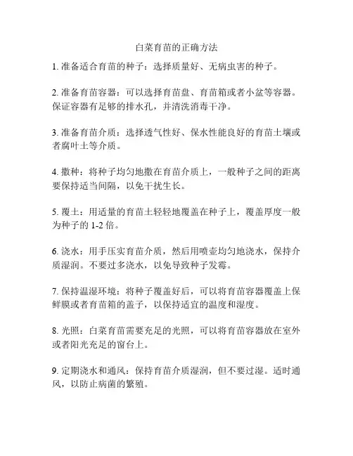 白菜育苗的正确方法