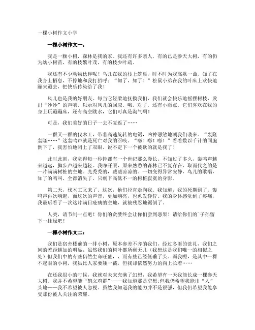 一棵小树作文小学