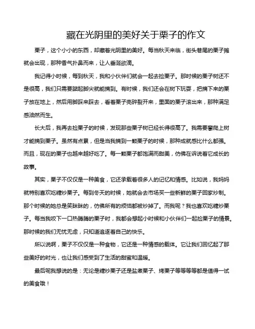 藏在光阴里的美好关于栗子的作文