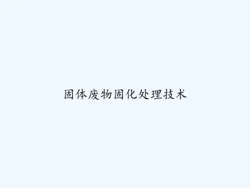 固体废物固化处理技术 PPT