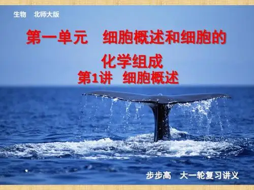 【步步高】高考生物一轮复习 第一单元 第1讲 细胞概述名师优质课件 北师大版