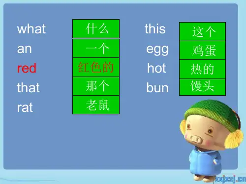 科普版英语三上Lesson 8《What’s this》ppt课件4