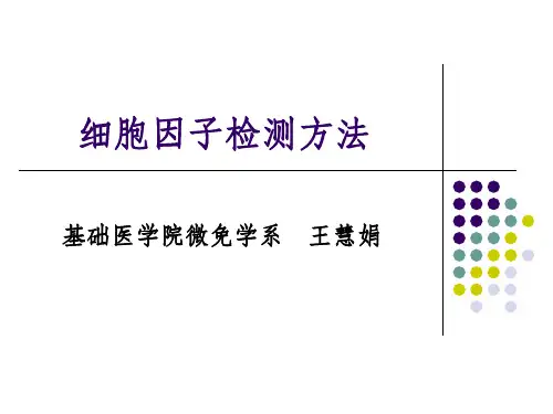 细胞因子检测方法ppt课件