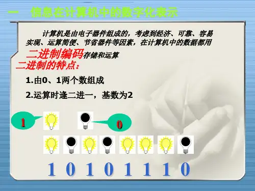 信息的数字化表示