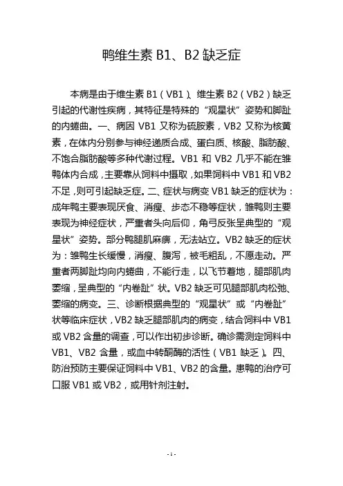 鸭维生素B1、B2缺乏症