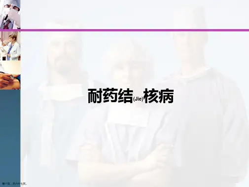 耐药结核病通用ppt