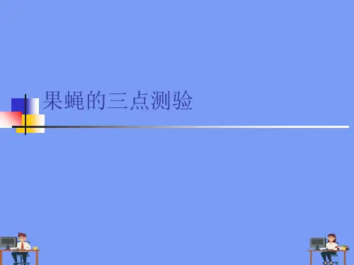 果蝇的三点测验.精选ppt