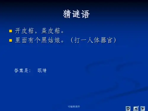 青岛版五年级科学——7保护眼睛完整ppt课件