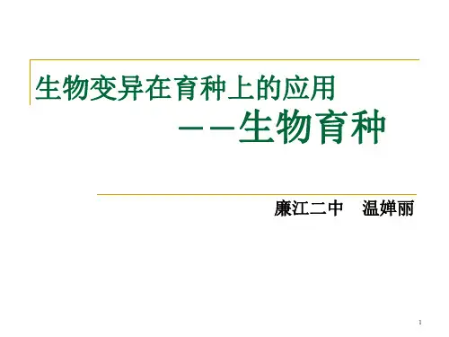 生物变异在育种上的应用--生物育种(课堂PPT)