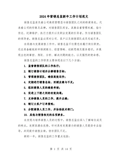 2024年营销总监新年工作计划范文（六篇）