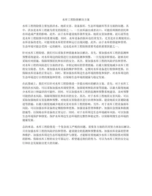 水库工程险情解决方案