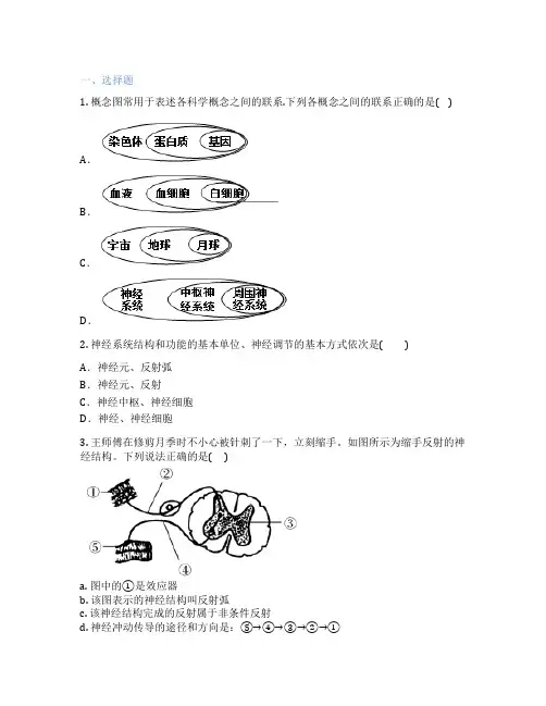 华东师大版科学 八年级下 2 人体生命活动的神经调节 课后练习题