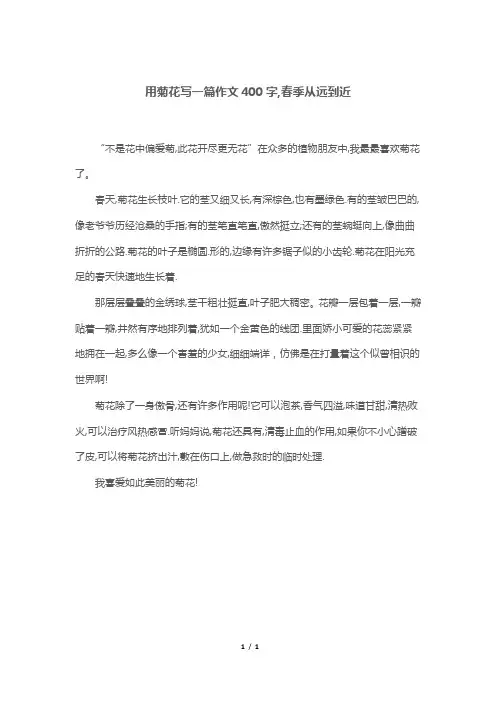 用菊花写一篇作文400字,春季从远到近