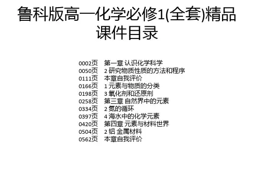 鲁科版高一化学必修1(全套)精品课件