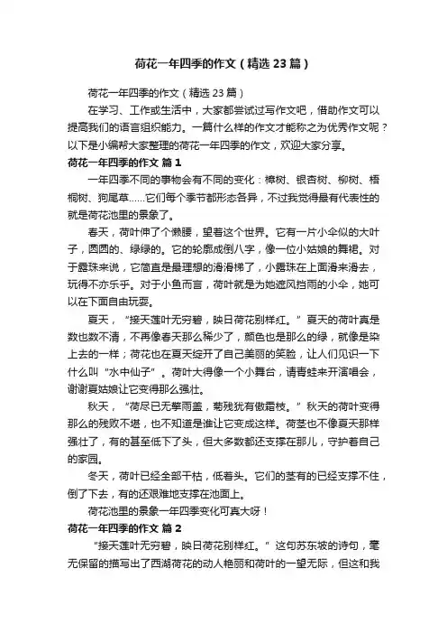 荷花一年四季的作文（精选23篇）
