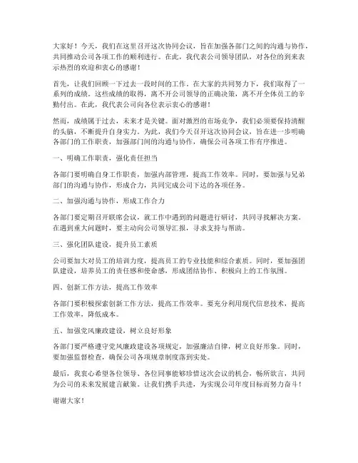 协同会议领导发言稿