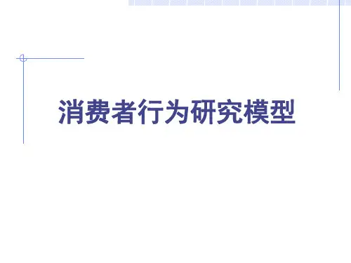消费者行为研究模型(PPT 57页)