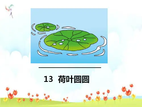 新版一年级下册-课文(四)13.荷叶圆圆 人教(部编版) (共33张PPT)