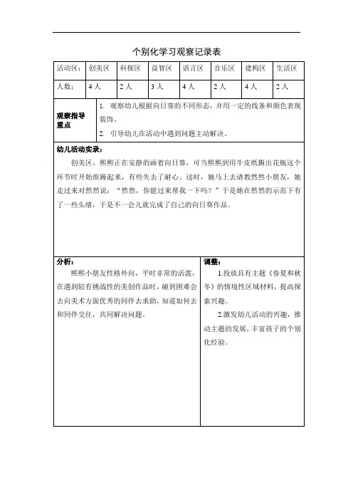 大班个别化学习观察记录表