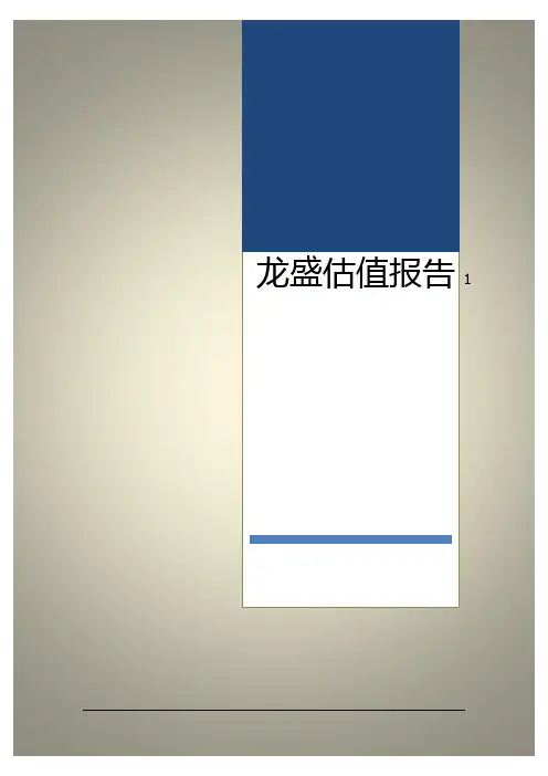 估值报告 作业 模板 范文