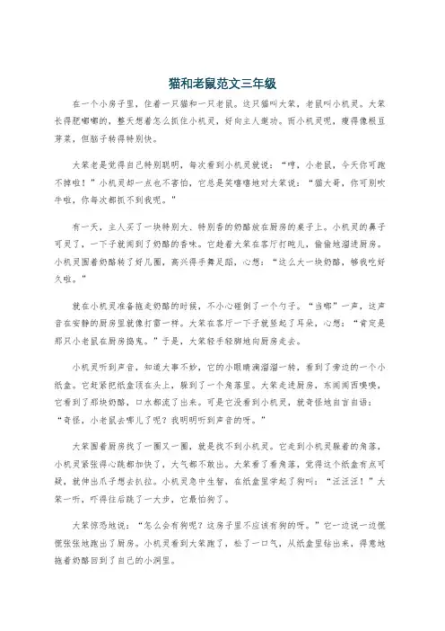猫和老鼠范文三年级