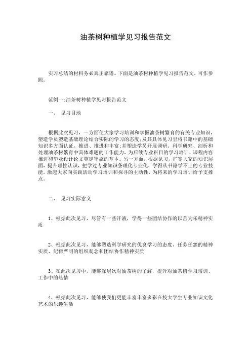 油茶树种植学见习报告范文
