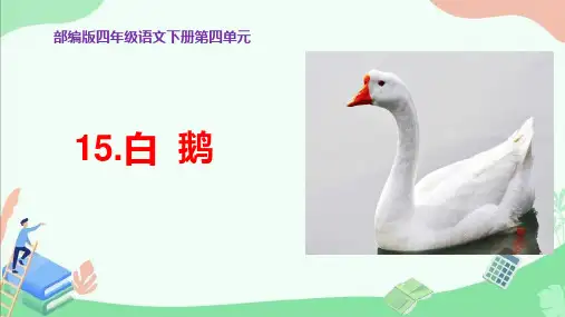 部编版四年级语文下册第四单元《白鹅》ppt课件