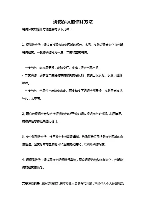 烧伤深度的估计方法
