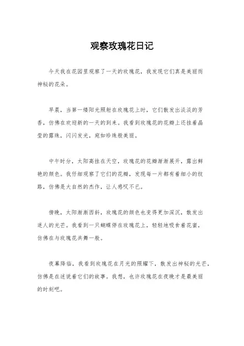 观察玫瑰花日记