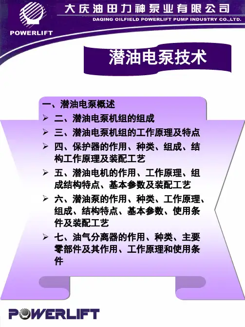 潜油电泵技术