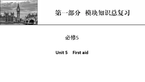 新高考英语人教版一轮复习课件第1部分必修5Unit5Firstaid