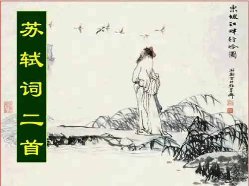 苏轼词两首2
