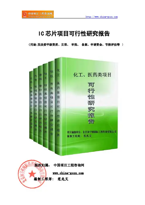IC芯片项目可行性研究报告(模板案例)