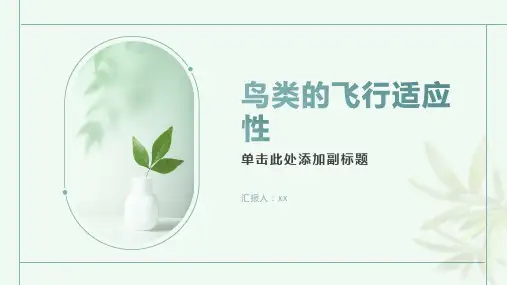 鸟类的飞行适应性