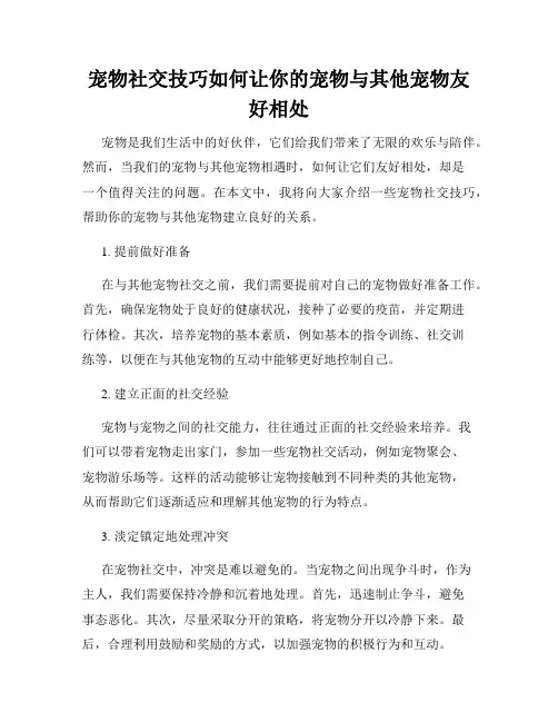宠物社交技巧如何让你的宠物与其他宠物友好相处
