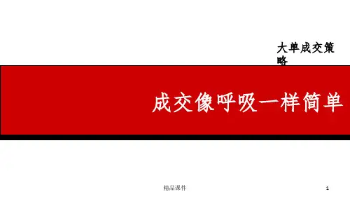 大单培训1ppt课件
