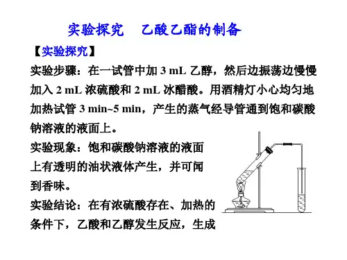 实验探究乙酸和乙醇的制备