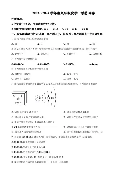 2024年江苏省南京市中考化学一模练习卷(原卷版)