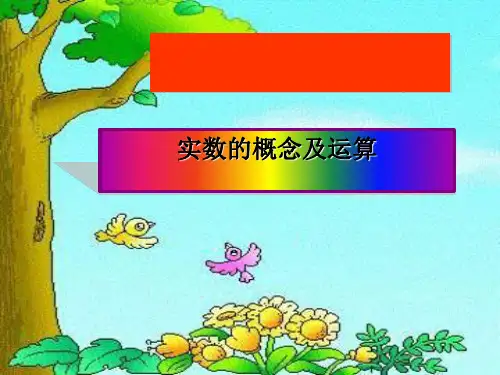 人教版数学七年级下册6.3.2实数的运算课件2